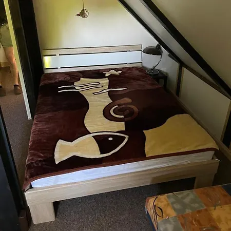 Apartment Ferienwohnung Immenhof